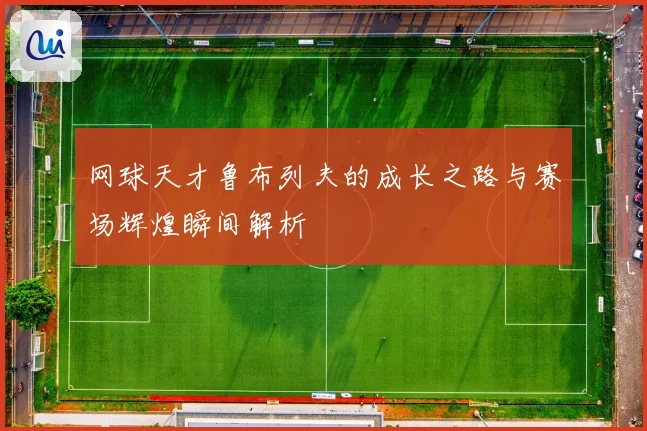 网球天才鲁布列夫的成长之路与赛场辉煌瞬间解析