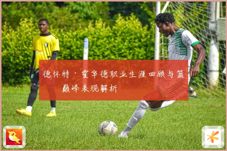 德怀特·霍华德职业生涯回顾与篮球巅峰表现解析