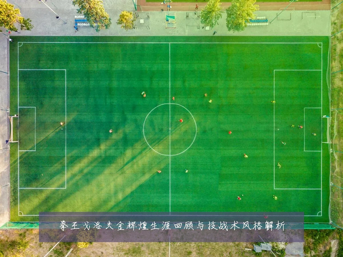 拳王戈洛夫金辉煌生涯回顾与技战术风格解析